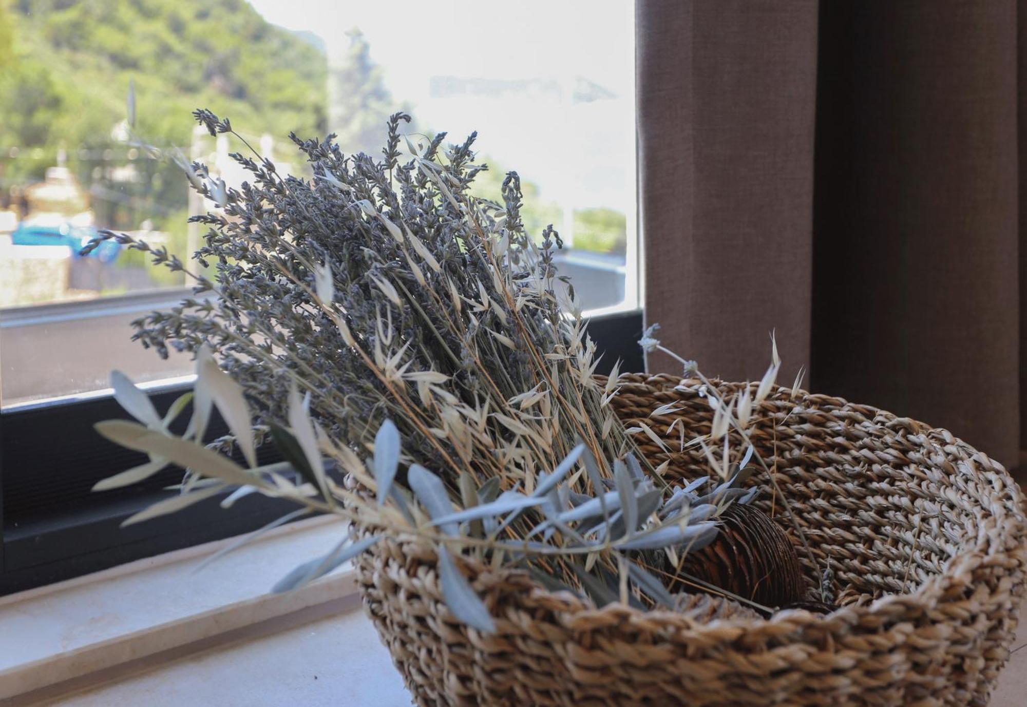 Kaktus Suites Kaş Dış mekan fotoğraf